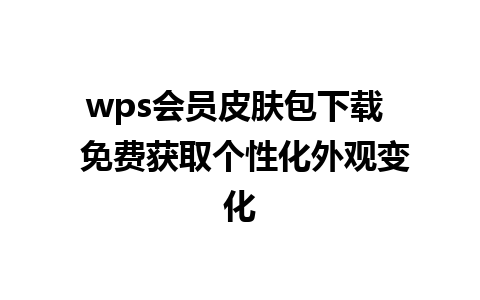 wps会员皮肤包下载  免费获取个性化外观变化