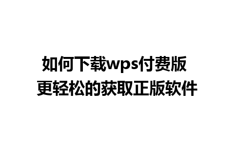 如何下载wps付费版 更轻松的获取正版软件