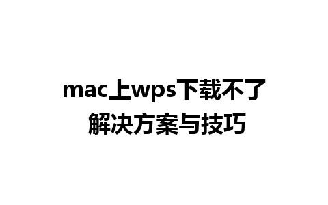 mac上wps下载不了 解决方案与技巧