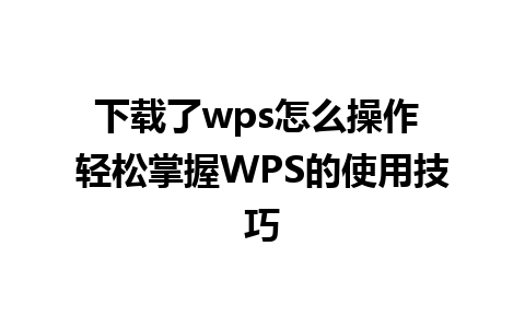 下载了wps怎么操作 轻松掌握WPS的使用技巧