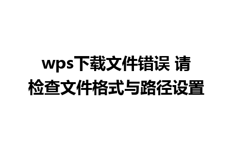 wps下载文件错误 请检查文件格式与路径设置