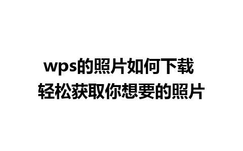 wps的照片如何下载 轻松获取你想要的照片