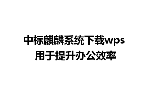 中标麒麟系统下载wps 用于提升办公效率