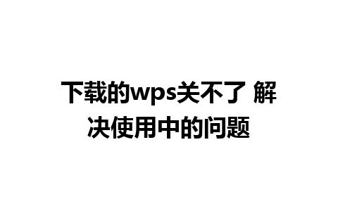 下载的wps关不了 解决使用中的问题