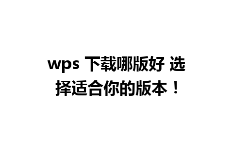 wps 下载哪版好 选择适合你的版本！