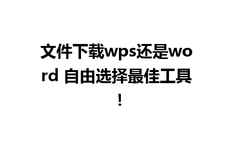 文件下载wps还是word 自由选择最佳工具！