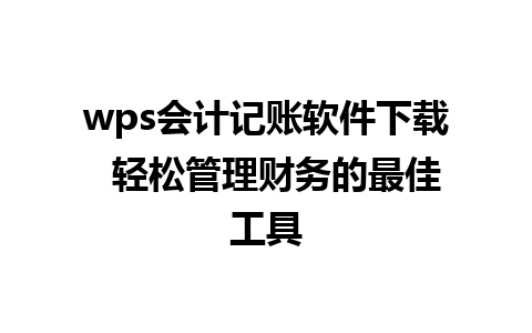 wps会计记账软件下载  轻松管理财务的最佳工具