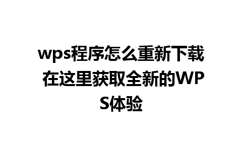 wps程序怎么重新下载 在这里获取全新的WPS体验