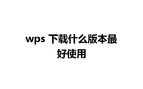 wps 下载什么版本最好使用