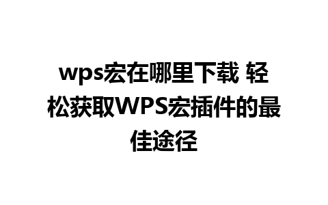 wps宏在哪里下载 轻松获取WPS宏插件的最佳途径