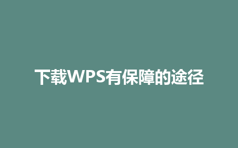 下载WPS有保障的途径