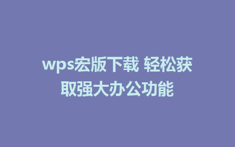 wps宏版下载 轻松获取强大办公功能