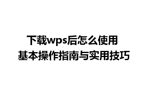 下载wps后怎么使用 基本操作指南与实用技巧