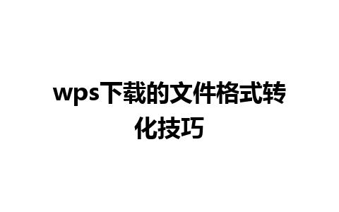 wps下载的文件格式转化技巧