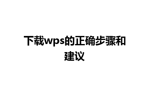 下载wps的正确步骤和建议