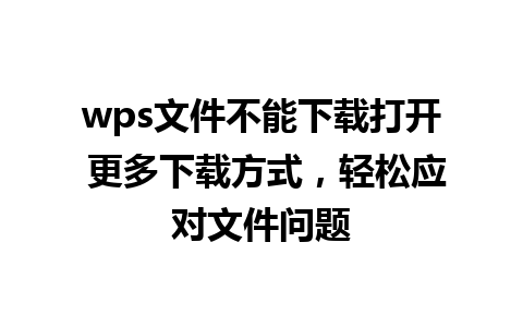 wps文件不能下载打开 更多下载方式，轻松应对文件问题