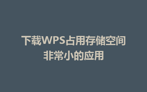 下载WPS占用存储空间非常小的应用