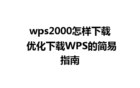 wps2000怎样下载 优化下载WPS的简易指南