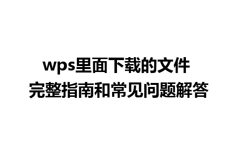 wps里面下载的文件 完整指南和常见问题解答