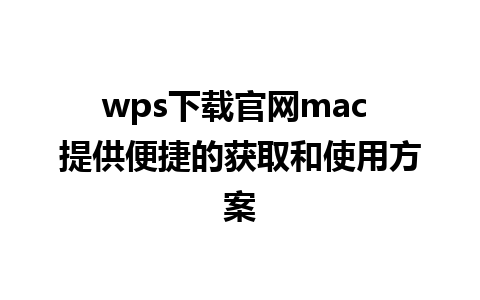 wps下载官网mac 提供便捷的获取和使用方案