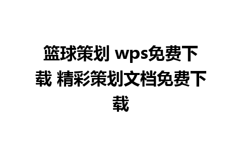 篮球策划 wps免费下载 精彩策划文档免费下载