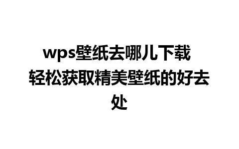 wps壁纸去哪儿下载 轻松获取精美壁纸的好去处