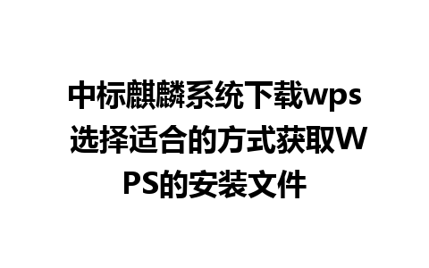 中标麒麟系统下载wps 选择适合的方式获取WPS的安装文件