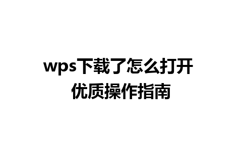 wps下载了怎么打开 优质操作指南