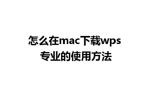 怎么在mac下载wps 专业的使用方法