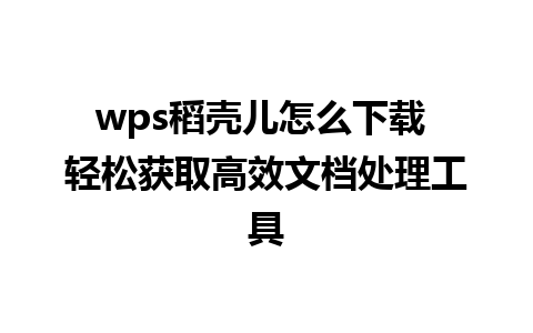 wps稻壳儿怎么下载 轻松获取高效文档处理工具