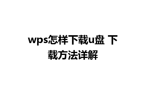 wps怎样下载u盘 下载方法详解