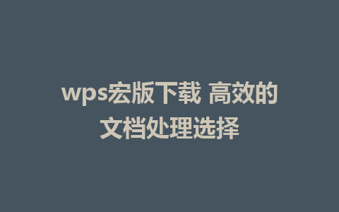 wps宏版下载 高效的文档处理选择