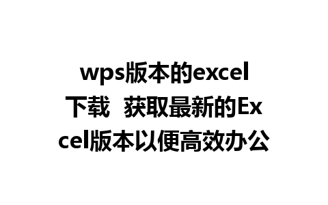 wps版本的excel下载  获取最新的Excel版本以便高效办公