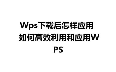 Wps下载后怎样应用  如何高效利用和应用WPS