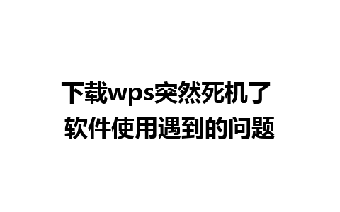 下载wps突然死机了 软件使用遇到的问题