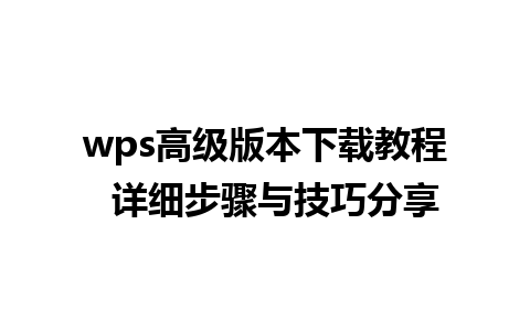 wps高级版本下载教程  详细步骤与技巧分享