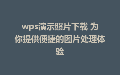 wps演示照片下载 为你提供便捷的图片处理体验