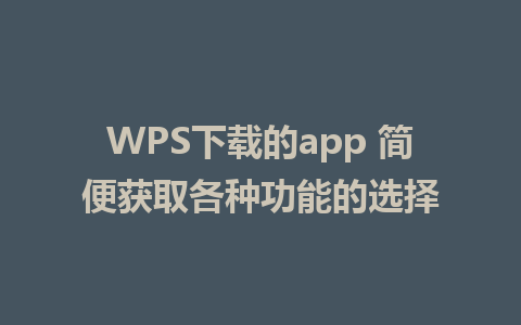 WPS下载的app 简便获取各种功能的选择