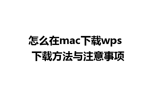 怎么在mac下载wps  下载方法与注意事项