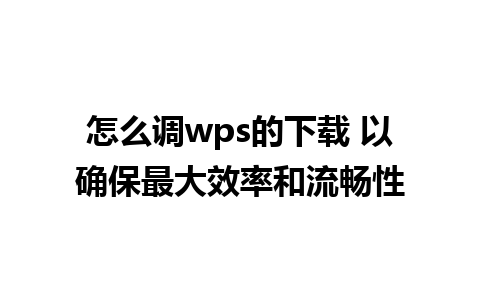 怎么调wps的下载 以确保最大效率和流畅性