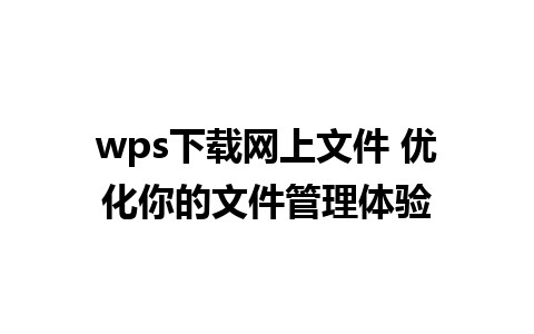 wps下载网上文件 优化你的文件管理体验